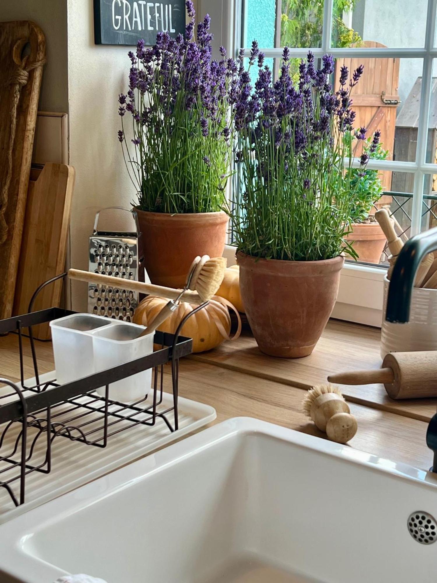 Orchardhouse Farmhouse, Wellness Chrast  外观 照片